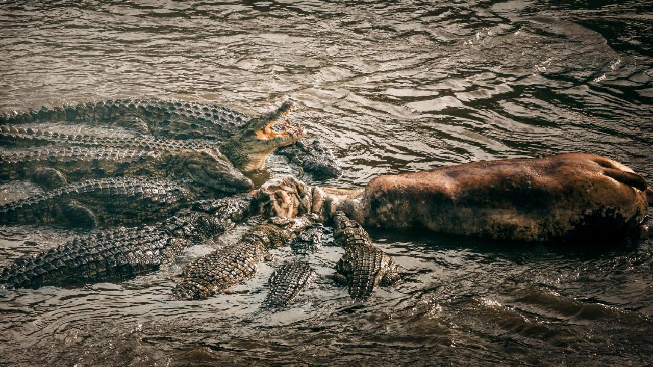 Enkusero Mara Aitong Exteriér fotografie